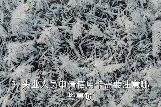 失业人员信用卡申请，失业者可否申请信用卡？
