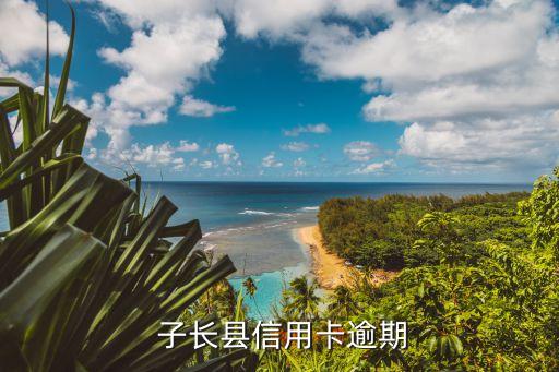 子长县信用卡逾期