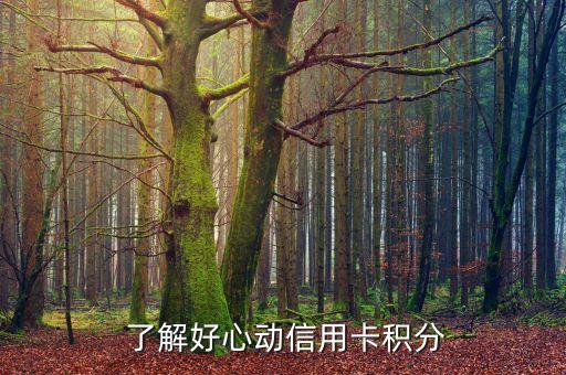 了解好心动信用卡积分