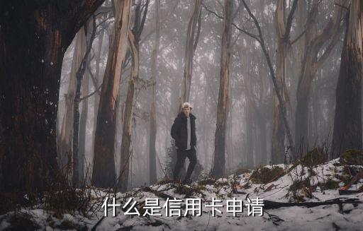 什么是信用卡申请