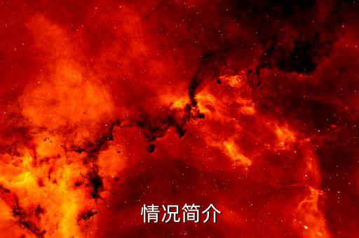 情况简介