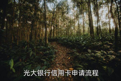 光大银行信用卡申请流程