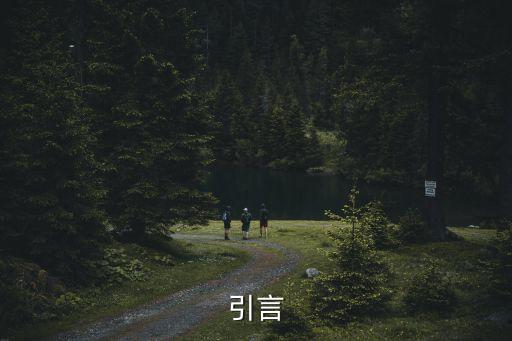 引言