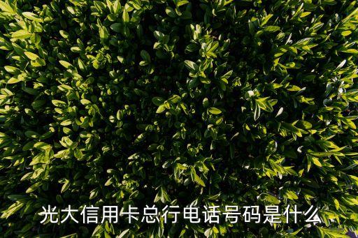 光大信用卡总行电话号码是什么