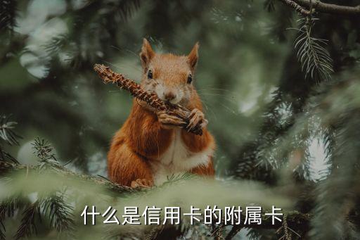 什么是信用卡的附属卡