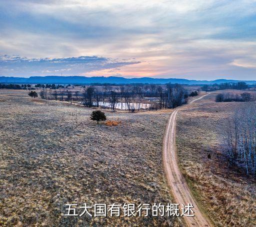 五大国有银行的概述