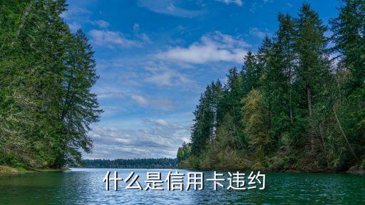 什么是信用卡违约