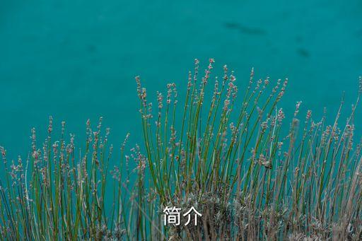 简介