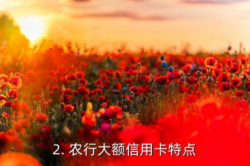 农行的大额信用卡，农行推出高额信用卡