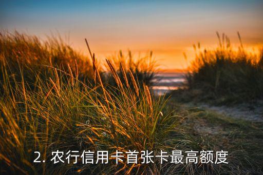农行信用卡首卡额度，农行信用卡首张卡最高额度标题重写