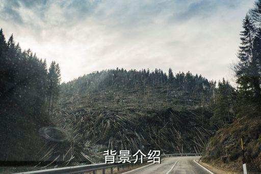 背景介绍