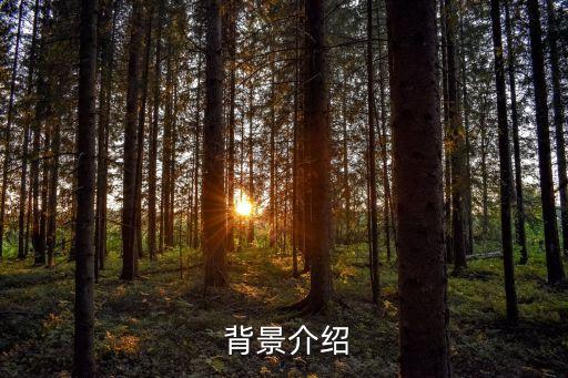 背景介绍