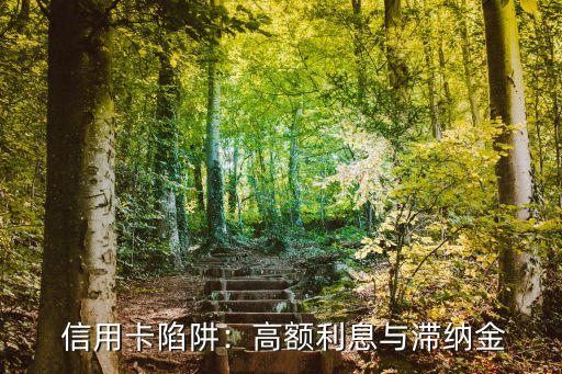 信用卡陷阱:高额利息与滞纳金