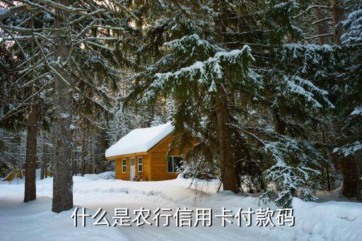 什么是农行信用卡付款码