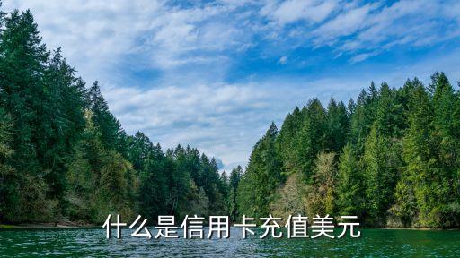 什么是信用卡充值美元