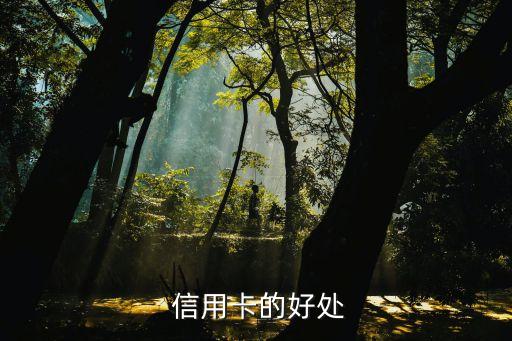 信用卡最好下卡，信用卡申请攻略：如何提高下卡率？