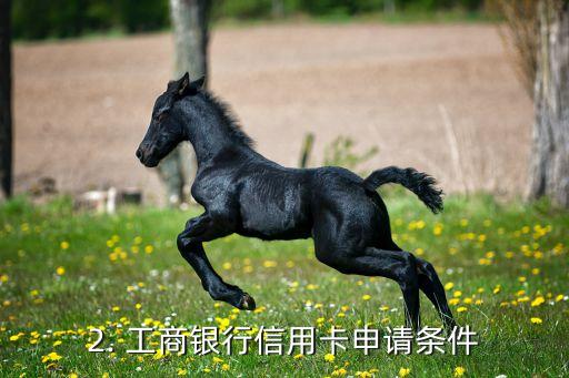 工商银行信用卡资格，工商银行信用卡申请条件