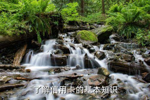 了解信用卡的基本知识