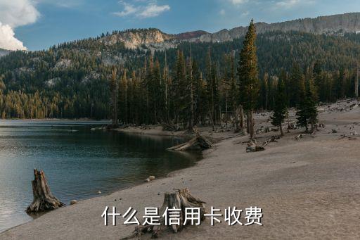 什么是信用卡收费