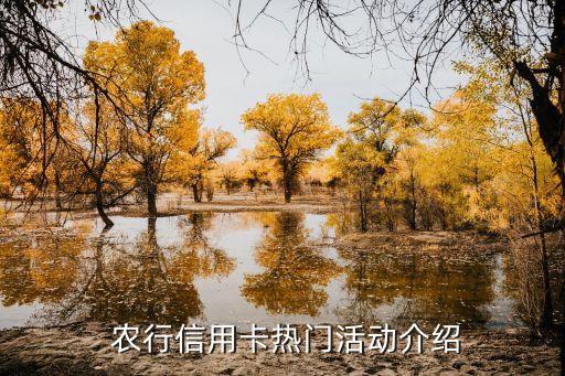 农行信用卡热门活动介绍