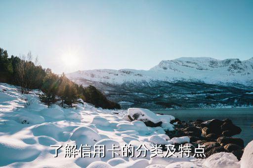 了解信用卡的分类及特点