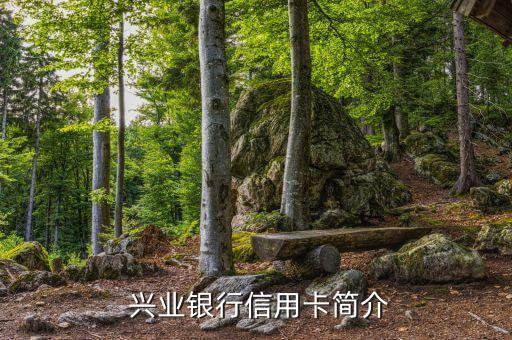兴业银行信用卡简介