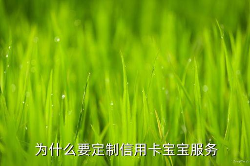 为什么要定制信用卡宝宝服务