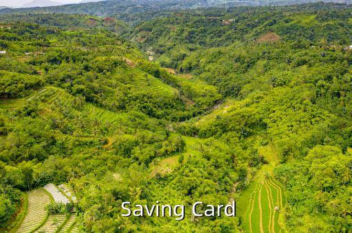 Saving Card