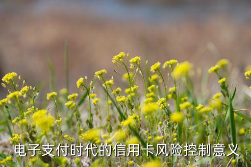 电子支付时代的信用卡风险控制意义