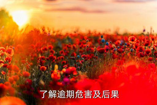了解逾期危害及后果