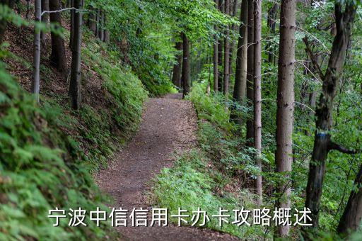 宁波中信信用卡办卡攻略概述