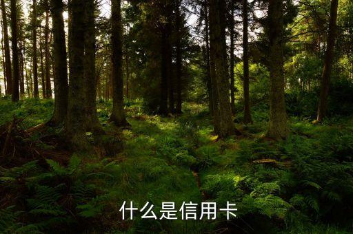 什么是信用卡