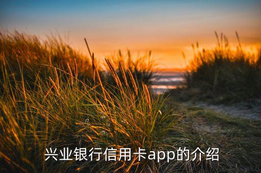 兴业银行信用卡app的介绍