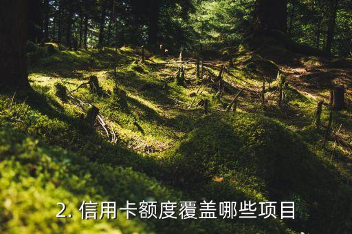 信用卡额度包含几种，信用卡额度覆盖哪些项目