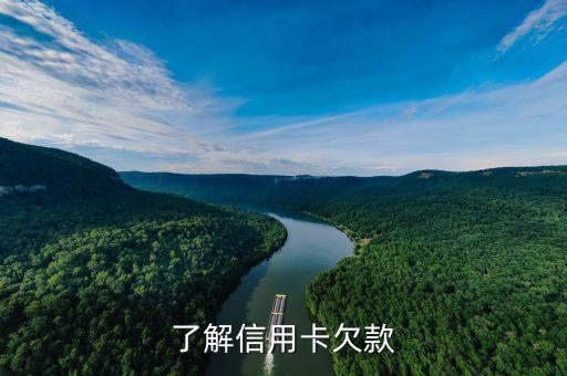 了解信用卡欠款