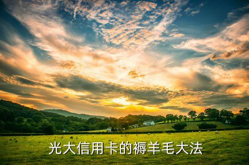 光大信用卡的褥羊毛大法