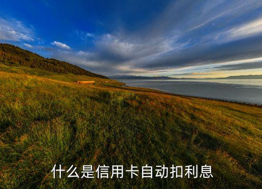 什么是信用卡自动扣利息