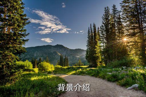 背景介绍