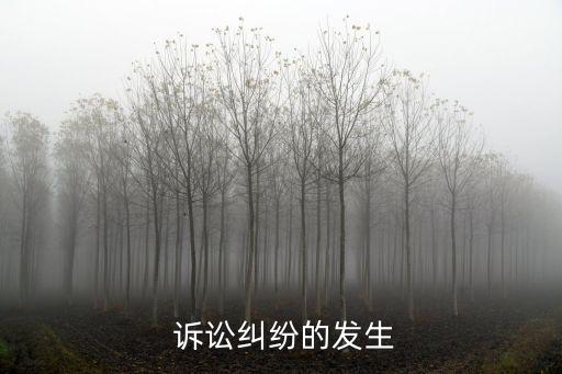 诉讼纠纷的发生