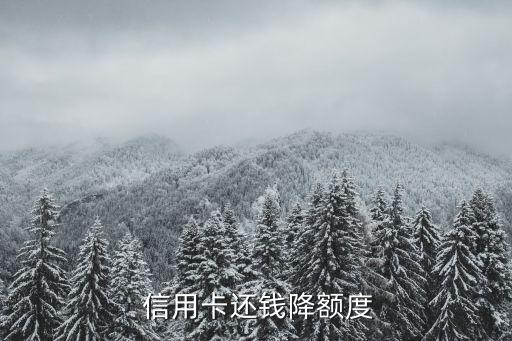 信用卡还钱降额度