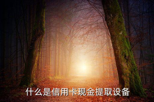 什么是信用卡现金提取设备