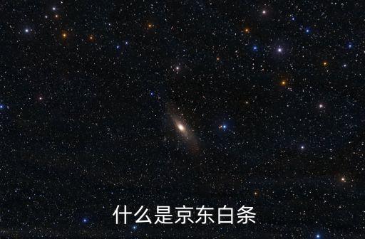什么是京东白条