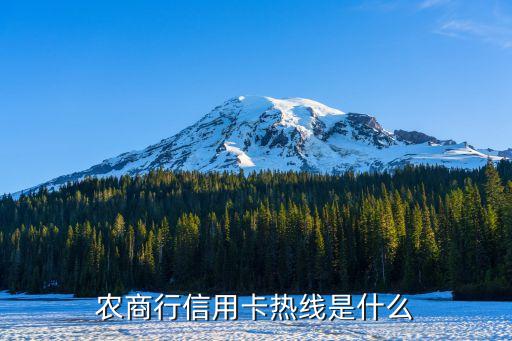农商行信用卡热线是什么