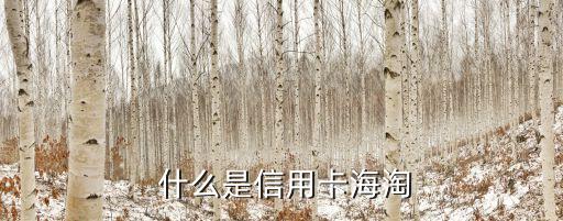 什么是信用卡海淘