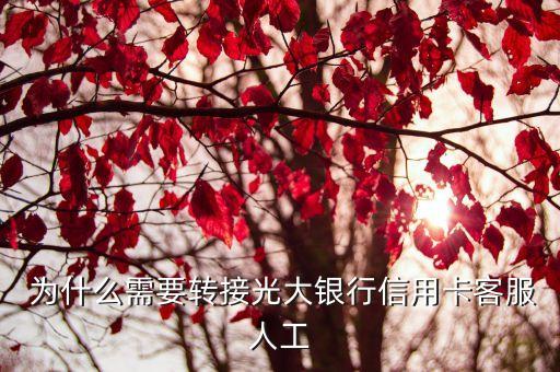 为什么需要转接光大银行信用卡客服人工