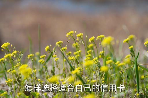 怎样选择适合自己的信用卡
