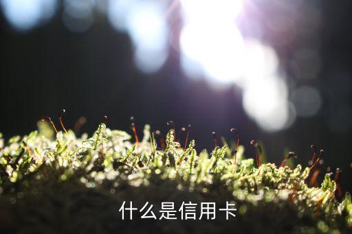 什么是信用卡