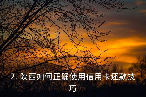 信用卡还款技巧陕西，陕西如何正确使用信用卡还款技巧