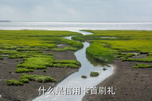什么是信用卡首刷礼