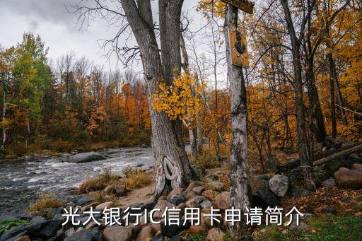 光大银行IC信用卡申请简介